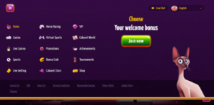 Joker8 Caracteristicas